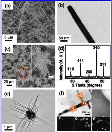 Figure 1. (a) Representative SEM image of CoSi nanowires grown at 750 °C in region A. (b) TEM image of a CoSi nanowire grown at 750 °C in region A