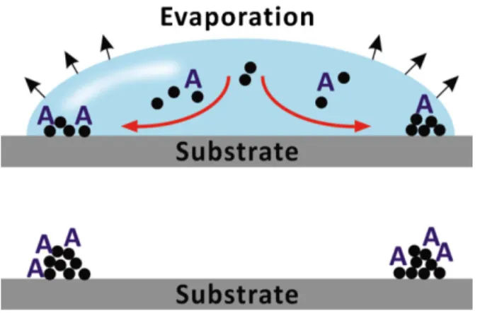 Fig. 1. Proposed directed self-organization of particles and analytes by coffee-ring