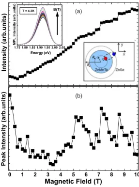 Figure 1共b兲 shows the optical polarization