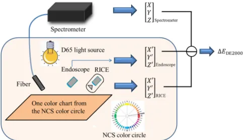 Fig. 2 The color information of the NCS color charts were obtained using a spectrometer, endoscope, and RICE, and were subsequently compared in terms of color gamut