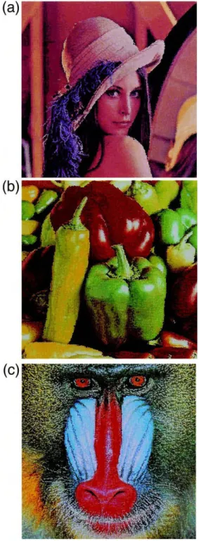 Fig. 6. The reconstructed results of the images in Fig. 3 with 5 =5 windows.