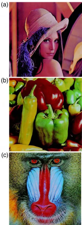 Fig. 3. The original images of ‘‘Lena’’, ‘‘pepper’’ and ‘‘mandrill’’ in top, middle and bottom, respectively.