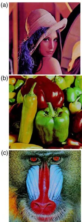 Fig. 5. The reconstructed results of the images in Fig. 3 with 4 =4 windows.