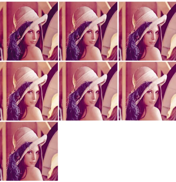 Fig. 4. 256-color quantized images of Lena obtained from the various methods (left to right, top to bottom): median-cut, mean-split, variance-based, center-cut, EBBS, PQBS, and our method.