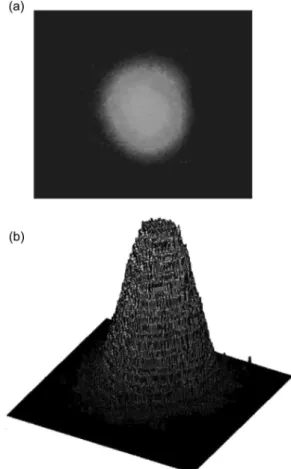 Fig. 7. Experimental far-field pattern of the signal output pulse. (a) 2D image, (b) 3D representation.