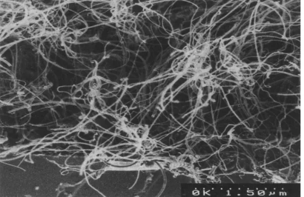 Fig. 1. Typical SEM micrograph of carbon nanotubes.