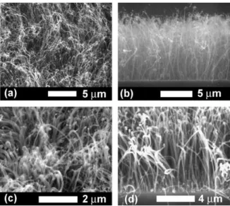 Fig. 3. TEM micrograph of the CNTs by ECR-CVD with Co as catalyst, under CH 4 /H 2 plasma (specimen ECR-1).