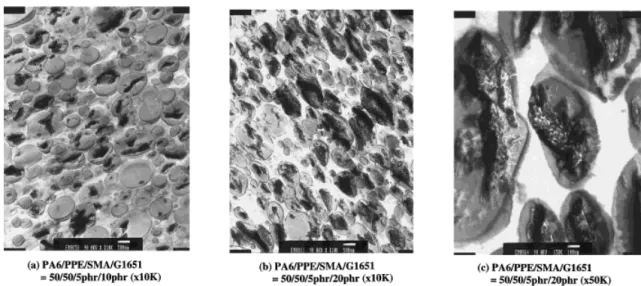 Figure 5 TEM micrographs of G1651-modified compatibilized blends.