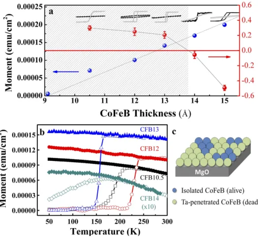 Figure 1.  Thickness-dependent magnetic properties. (a) Thickness-dependent magnetic moment (blue 