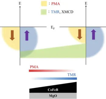 Figure 6.  Spin-electronic diagram with respect to PMA and TMR. Thickness effects (bottom figure, 