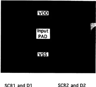 Fig.  4.  The corresponding cross-sectional  view of (a) the lateral SCRl device  and  diode  D1;  (b) the  lateral  SCR2  device  and  diode  0 2 ,  in  the  layout  of 