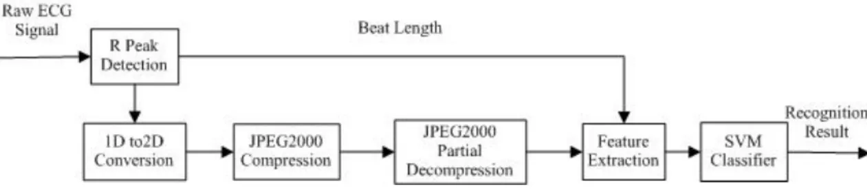 Figure 1. The proposed ECG biometric system.