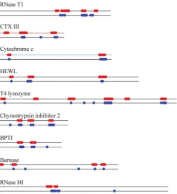 Fig. 7. Comparison of the slow exchange and the low SSE regions of Cyt c in ribbon diagrams.