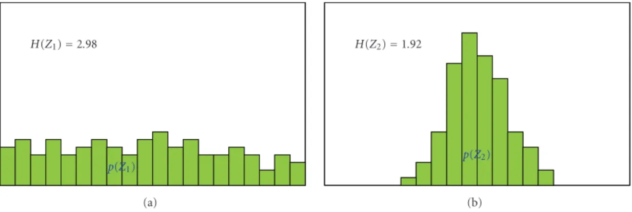 Figure 10: The information entropy. (a) Z 1 and (b) Z 2 .