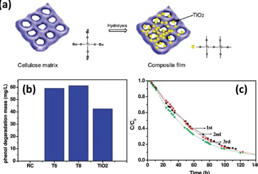 Figure  12 b shows these TiO  2  /RC composite fi lms  exhibited  notable photocatalytic performance for the degradation of  phenol under irradiation with weak UV light; their  photocat-alytic activities were even comparable to that of anatase TiO  2   