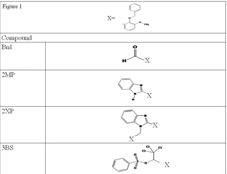 Figure 1.  Chemical structures of Bn1, 2MP, 2XP and 3BS.   doi: 10.1371/journal.pone.0080983.g001