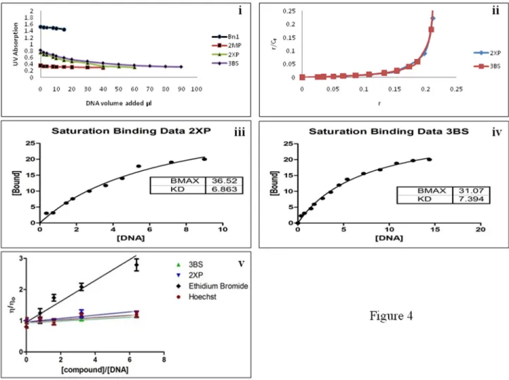 Figure 4.  UV spectroscopy and viscometery analyses on the different compounds.  (i) the UV Absorption at λmax for Bn1,