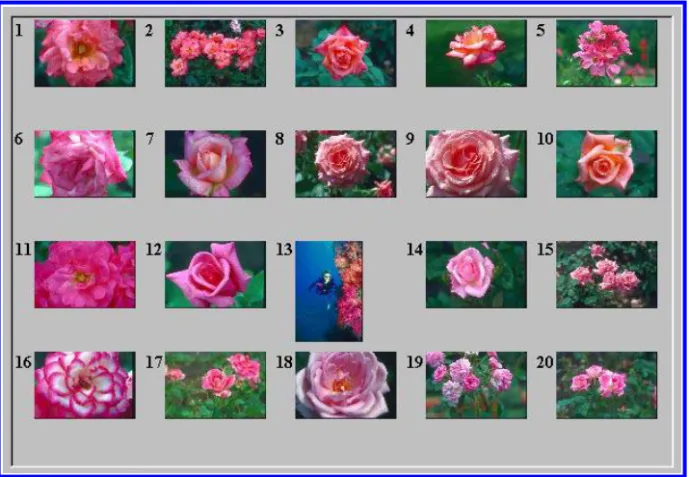 Fig. 8. The initial retrieval result of the big red flower of D1 shown in the first image without using the relevance feedback algorithm.