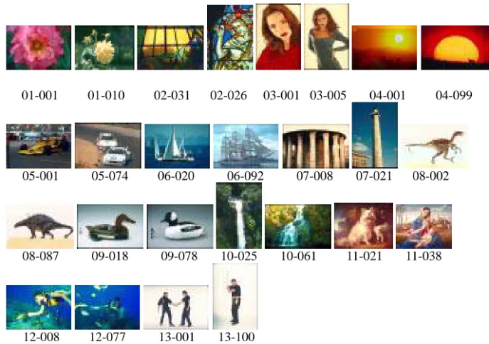 Fig. 3. Several example images from the database D1.