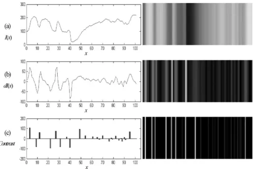 Fig. 1. (a) Intensity profile extracted from a real image. (b) The estimated 1st derivative information