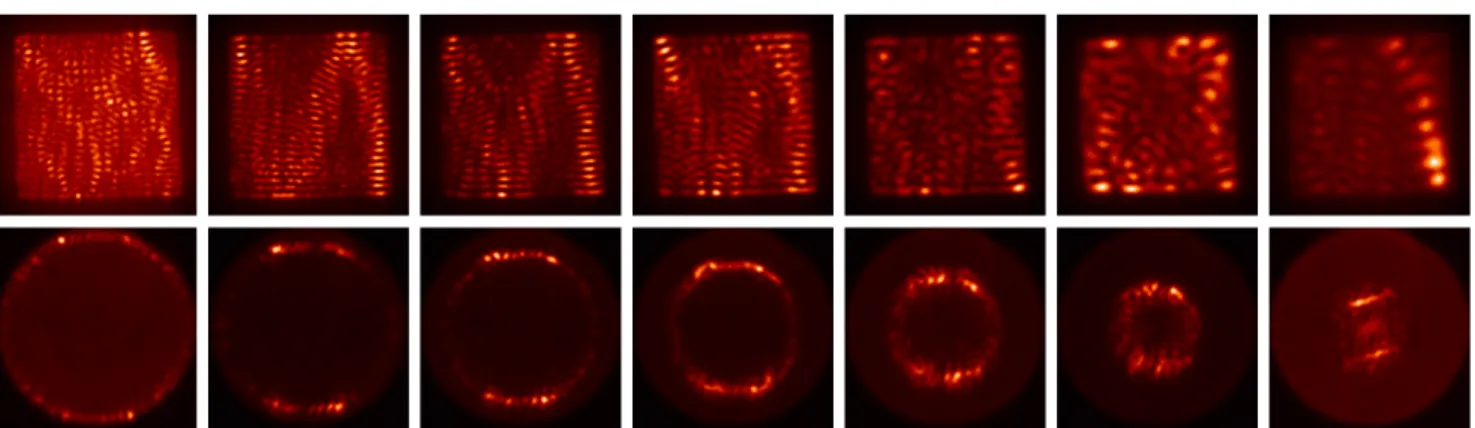 Figure 7. (Colour online) Near-field (upper row) and far-field (lower row) intensity distributions under the influence of frequency-selective feedback combined with Fourier filtering