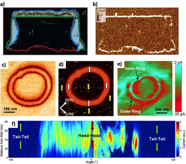 Figure 9  Electrically tunable conduction and topologic control of the conductive states at BiFeO 3  domain walls