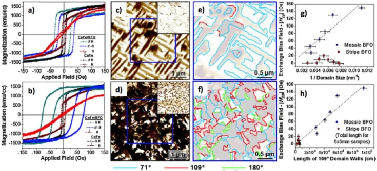 Figure 12  Exchange bias study on various domain structures: Room-temperature magnetic properties for CoFe/BiFeO 3  heterointer- heterointer-face exhibiting exchange enhancement (a) and exchange bias (b) properties