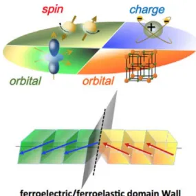 Figure 6  Homointerfaces, the enriched playground achieved via  the interplays between charge, spin, orbital and lattice degrees of  freedom, where a typical ferroelectric/ferroelastic domain wall is  illustrated in the lower part of this figure