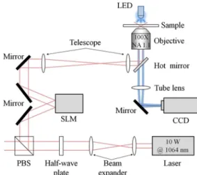 Fig. 2. (Color online) Experimental setup.