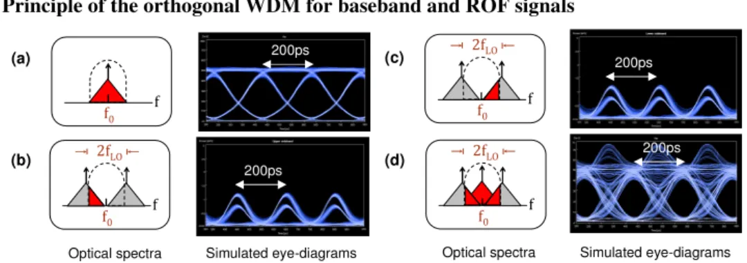 Fig. 2. Principle of orthogonal WDM for baseband and ROF signals. 