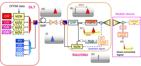 Fig. 2. Architecture of the proposed convergent wireline and wireless access network. OLT: optical line terminal; MZM: Mach-Zehnder modulator; SMF: single mode fiber; OTF: optical tunable filter; HSPD: high speed photodiode; TLD: tunable laser diode; LNA: 