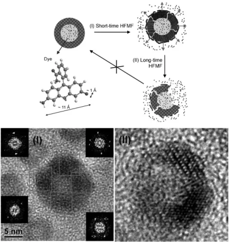 Figure 4. Schematic illustration of the thin shell with a proposed mechanism for controlled release of the fluorescence dye: (I) while applying HFMF, vibration enlarges the dimension of nanofaults, making it easy for dye molecules to be released