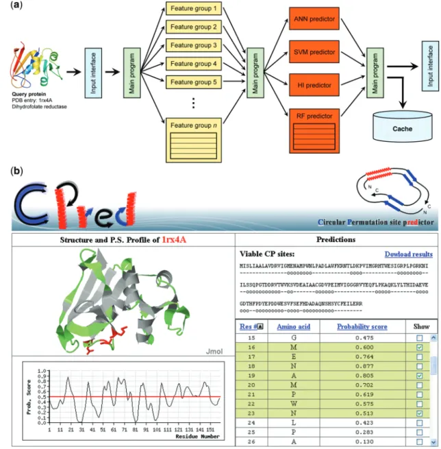 Figure 1. The ﬂowchart and output of CPred. (a) CPred is a viable circular permutation cleavage site prediction web server, which is working based on distributed computation techniques