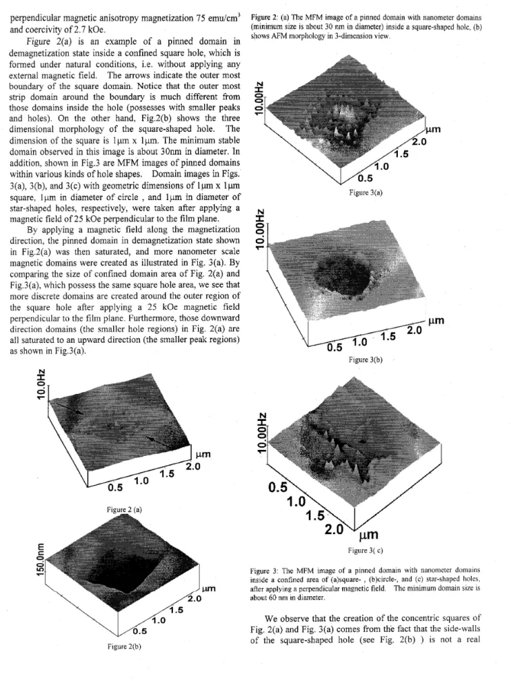 Figure  2(a)  is  an  example  of  a  pinned  domain  in  demagnetization  state  inside  a  confined  square  hole,  which  is  formed  under  natural  conditions,  i.e