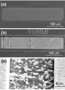 Figure 2 shows the cross-sectional schematic for the sol- sol-der stripes in Fig. 1共b兲