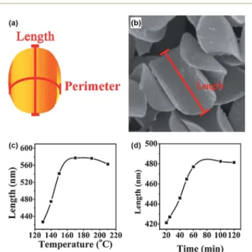 Fig. 5 (a) The illustration of a curved PS nanodisc. The length and perimeter are indicated in the graph