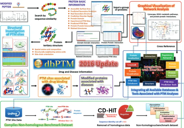 Figure 1. The highlighted improvements and advances in dbPTM update 2016.