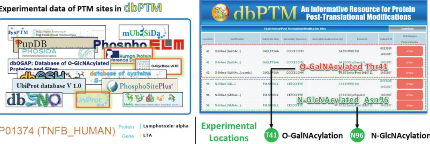 Figure 2. A case study of integrative protein glycosylation analyses for lymphotoxin-alpha (LTA).