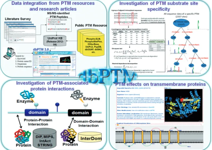 Figure 1. The highlighted improvements and advances in dbPTM 3.0.