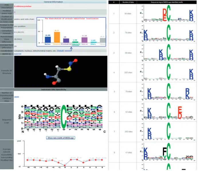 Figure 2. The MDDLogo-identiﬁed substrate motifs of protein S-nitrosylation sites.