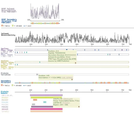 Figure 2. The graphical interface reveals the PTMs, the solvent accessibility of the residues, protein variations, protein secondary structures and protein functional domains.