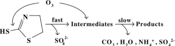 Fig. 1. Molecular structure of 2-mercaptothiazoline (2-MT) and simpliﬁed scheme of decomposition of 2-MT via ozonation.