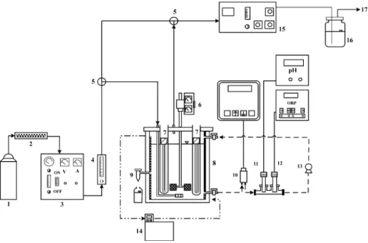 Fig. 2. Experimental apparatus sketch. –––, – –, –– - - ––: ozone gas stream, experimental solution, isothermal water