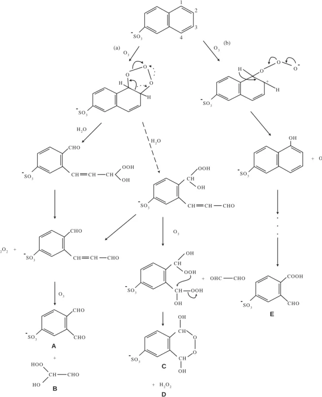 Fig. 6. Ozonation mechanism of 2-NS with ozone molecule. The cases of initial attack by (a) ozone dipolar cyclo-addition on the 1, 2 bond, (b) an electrophilic substitution of ozone on carbon 1.