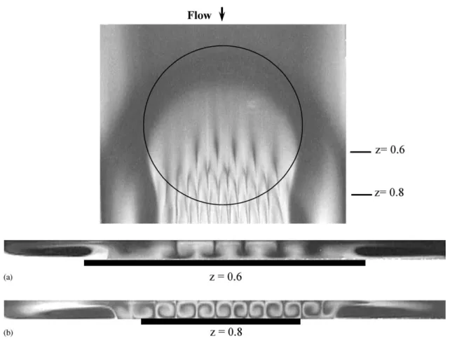 Fig. 4. Top view and end view ﬂow photos of the steady longitudinal rolls in the duct with f ¼ 0:971 taken at the plane y ¼ 1 2 and at cross-sections z=(a) 0.6 and (b) 0.8 for Re ¼ 15:1 and Ra ¼ 11; 900: