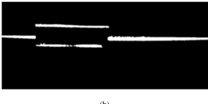 Fig. 2 SSOCT i