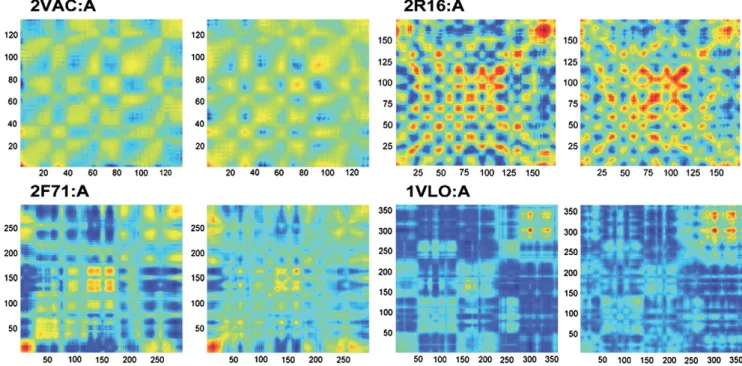 Fig. 1. Correlation maps for some of the proteins from the 100-dataset. For each protein case, the left panel is the map computed by our method and the right by the GNM