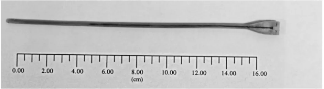 Fig. 11. Cross-section of an extruded powder/solid composite clad billet with a 3 mm (2 g/cm 3 ) diameter core.