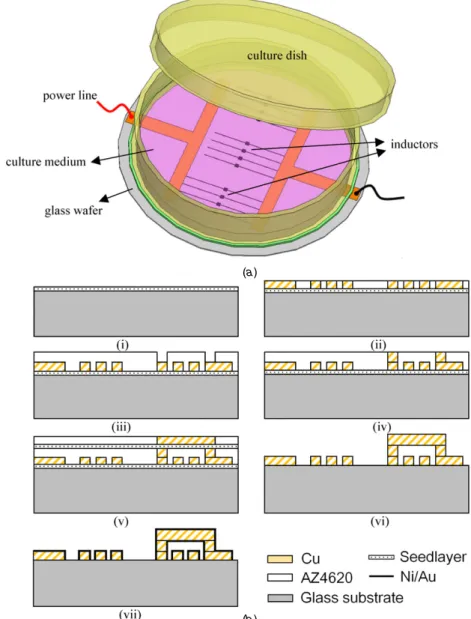 Figure 3. (a) Scheme of the proposed micro cell incubation system for investigation of the proximity effect of a time-variant MF on living cells