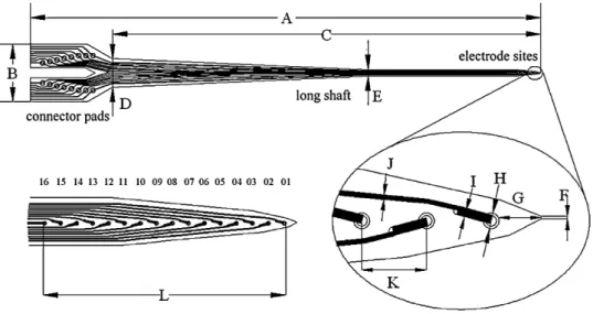 Fig. 1. Schematic view of the NCTU probe depicted in an AutoCAD layout (not drawn to scale)